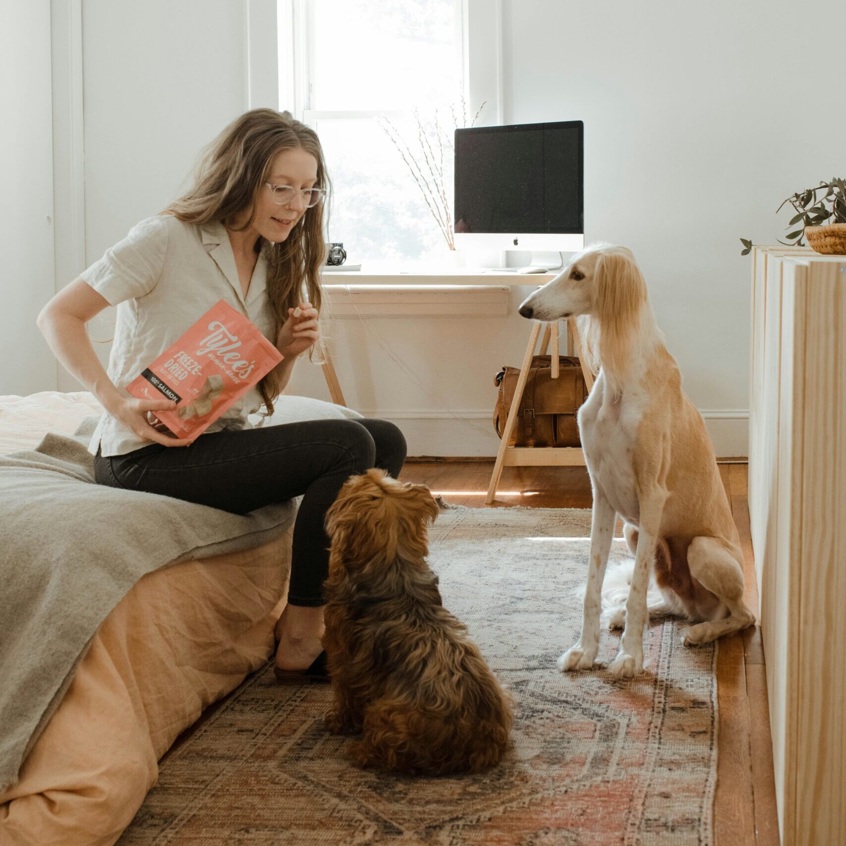 a woman sitting with 2 dogs offering treats.
